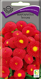 Семена Маргаритка Тассо ред