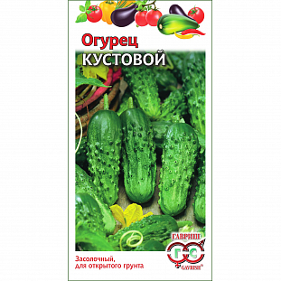 Семена Огурца Описание Фото Семена Огурца Описание Фото