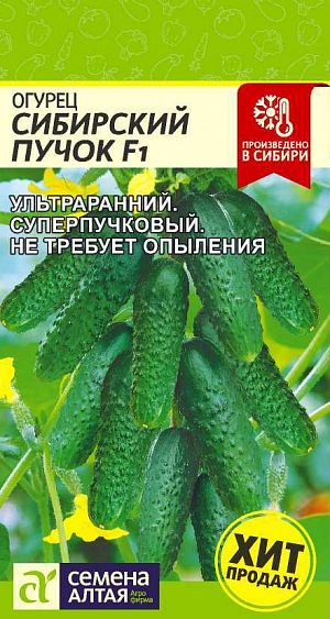 Семена Огурец Сибирский Пучок F1