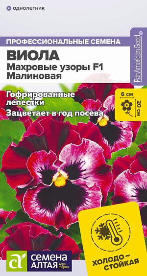 Семена Виола Махровые узоры Малиновая F1

Холодостойкий гибрид виолы, зацветающий уже в год посева. Не боится холода, при понижении температуры цветки становятся более гофрированными. Не теряет декоративности при неблагоприятных условиях. Цветки градиентной малиновой окраски с эффектной темной «паутинкой» в центре Прекрасно подойдет для выращивания на клумбах, в бордюрных посадках и в альпийских горках.
Высота растения: 15-20 см
Ширина растения: 20-25 см
Диаметр цветка: 5-6 см
