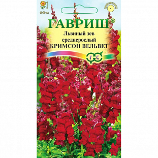 Семена Львиный зев Кримсон вельвет среднерослый