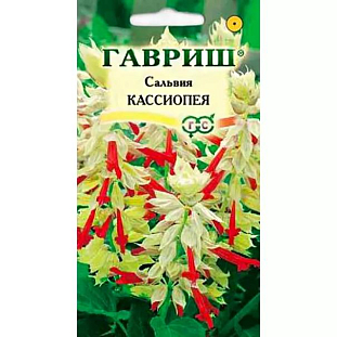 Семена Сальвия Кассиопея