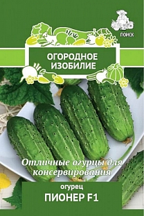 Семена Огурец Пионер F1
