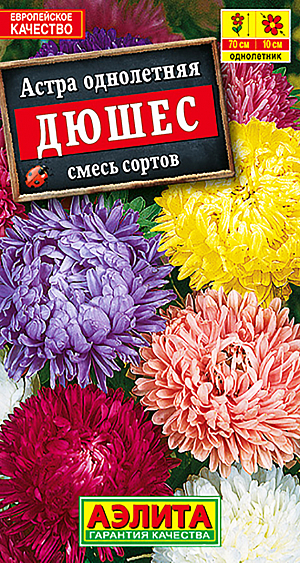 Семена Астра Дюшес смесь окрасок.
Популярная астра с классическими, густомахровыми соцветиями O9-10 см. Формирует крепкие колонновидные кусты высотой до 80 см. Цветоносы прочные, длиной 25-35 см. На кусте образуется за сезон в среднем 22-25 соцветий. Растения цветут в средние сроки, с августа до устойчивых заморозков. Используются для оформления цветников и на срезку. 
Агротехника. Выращивают рассадным способом. С развитием первой пары настоящих листочков сеянцы пикируют. На постоянное место рассаду высаживают в возрасте 30-35 дней. Возможен посев семян в открытый грунт весной или под зиму, в конце октября, на глубину 0,5-1 см. Растениям необходимы регулярные поливы, прополки, рыхления и подкормки.