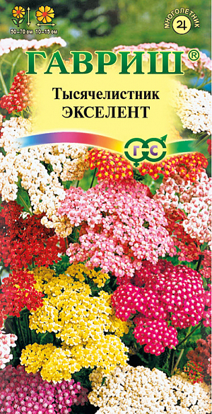 Семена Тысячелистник Экселент