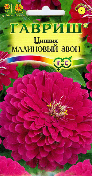 Семена Цинния Малиновый Звон.
Неприхотливое однолетнее растение семейства Сложноцветные высотой 70-90 см. Цветение обильное с июня до заморозков.
Соцветия глубокого малиново-розового тона, георгиновидные, диаметром до 14 см венчают прямые прочные стебли.
Светолюбива, засухоустойчива и теплолюбива. Отзывчива на полив, без длительного полива снижается интенсивность цветения и уменьшается размер соцветий. Выращивают рассадным способом. Семена высевают в апреле. Всходы появляются через 4-6 дней. В начале июня растения высаживают на расстоянии 25-30 см.
Используют в цветниках, для получения высококачественной срезки.