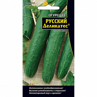 Семена Огурец Русский деликатес F1