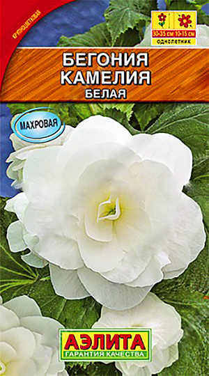 Семена Бегония Камелия белая.
Компактные растения с многочисленными побегами, с густомахровыми крупными цветками. Цветки напоминают розы, украшают сады с июня до первых морозов. Большое достоинство бегоний серии Камелия - способность придавать праздничное убранство затенённым уголкам сада. При регулярном поливе возможны посадки на открытых солнечных участках. Растения образуют клубни, которые можно сохранить до следующего сезона. Пригодны для цветников любого типа: клумб, садовых и балконных контейнеров, настенных и подвесных кашпо. Неприхотливы в уходе, легко переносят пересадку.
Агротехника. Посев на рассаду с февраля до апреля. Семена в гранулах! Посев поверхностный, без заделки (семена прорастают на свету!), под стекло или пленку для сохранения постоянной влажности до полных всходов. Гранулы при посеве должны раствориться! Февральским посевам требуется дополнительная подсветка. Всходы появляются на 5-6 день. Пикировка в фазе 1-2-х настоящих листьев. Высадка в грунт закаленной рассады в конце мая. Для продолжительного и обильного цветения растениям необходим своевременный полив, регулярная прополка, рыхление и подкормка минеральными удобрениями.