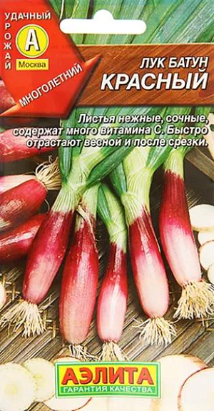 Семена Лук батун Красный