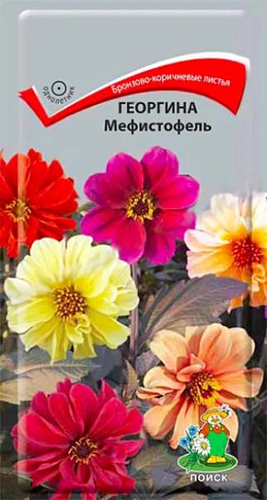 Семена&nbsp;Георгина Мефистофель.&nbsp;Растение высотой около 50 см. Листья интересного бронзово-коричневого оттенка. Обильно цветет в течение всего лета махровыми и полумахровыми цветами. Используют в цветниках большими группами, для бордюров и рабаток.<br>
 <br>
&nbsp;Агротехника.&nbsp;Растение предпочитает солнечное место, к почвам неприхотливо. Посев семян производят в марте-апреле в рассадные ящики. Глубина заделки семян 0,5 см. При температуре +18°С всходы появляются на 7-14-й день. Сеянцы содержат при умеренной температуре. Пикируют в горшочки по 1 растению. В открытый грунт, рассаду высаживают в конце мая - начале июня, выдерживая расстояние между растениями 25-30 см.
