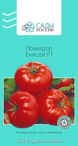 Семена Томат Енисей F1