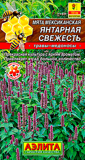 Семена Мята мексиканская Янтарная свежесть