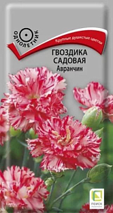 Семена Гвоздика садовая Авранчин Семена Гвоздика садовая Авранчин