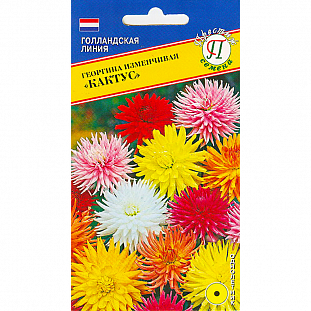 Семена Георгина изменчивая Кактус (РС-1)