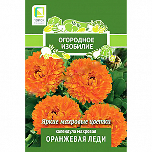 Семена Календула махровая Оранжевая леди