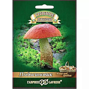 Мицелий грибов Подосиновик Мицелий грибов Подосиновик