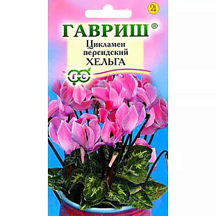 Семена Цикламен Хельга персидский