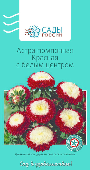 Астра Помпонная Красная с белым центром

Привлекательна плотными плоскоокруглыми набивными соцветиями-подушечками. Окраска яркая, насыщенная, двуцветная, красная с белым центром. Куст колонновидный или пирамидальный, диаметр соцветий 6−8 см.