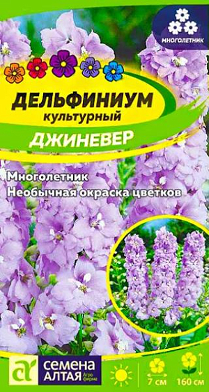 Семена Дельфиниум "Джиневер культурный".<br>
Многолетнее элегантное декоративное растение. Садовый гигант высотой до 160 см, поражает своими размерами и редкими по красоте цветками лавандово-розовой окраски с белым глазком. Полумахровые и махровые цветки до 7 см в диаметре собраны в плотные конусовидные соцветия до 80 см длиной. Благодаря длительному периоду цветения, будет незаменим в садовых композициях. Используется для посадки вдоль стен и оград, для создания высоких групповых посадок на газоне, великолепно смотрится в букетах. Растение засухо- и морозоустойчивое, от сырости легко заболевает и выпревает. Хорошо растет на открытых солнечных участках, защищенных от ветра, с легким затенением в полуденные часы. Предпочитает супесчаную или суглинистую, богатую перегноем, умеренно влажную почву. Посадочный материал нуждается в стратификации: за 1-1,5 месяца до посева семена помещают в холодильник. Перед посевом их протравливают в концентрированном растворе марганцовки 20 мин., промывают холодной водой и заливают раствором эпина на 2-4 часа, после чего просушивают на бумажном полотенце. Посевы проводят в конце февраля - марте в рассадные ящики, семена распределяют по поверхности субстрата с интервалом 1-1,5 см. Сверху их заделывают песком слоем 0,2-0,3 см, увлажняют из пульверизатора и накрывают черной пленкой - в темноте семена лучше прорастут. Оптимальная температура для прорастания семян +12-15°С. Всходы появляются через 8-10 дней, их помещают под фитолампу на 10-12 часов в день. После образования 2-х настоящих листьев сеянцы пикируют в отдельные горшки. В конце мая рассаду высаживают в открытый грунт на постоянное место, выдерживая посадочный интервал 30-40 см. Цветение с июля по август. В апреле-мае семена можно высевать в открытый грунт на разводочные гряды или в холодные парники, в этом случае цветение наступит на следующий год.