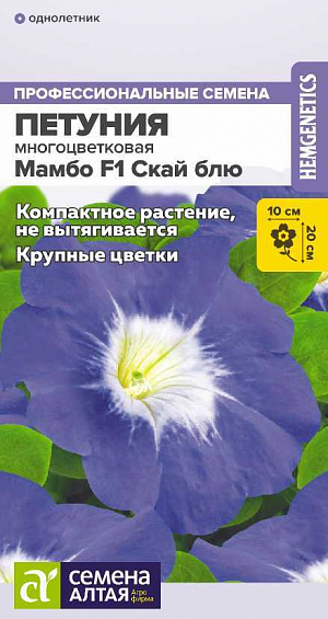 Семена Петуния Мамбо Скай блю F1.<br>
 <br>
 Генетически карликовая многоцветковая петуния, не вытягивается, кустик остается компактным и аккуратным в течение всего сезона. Цветки крупные, нежной васильковой окраски с постепенным переходом к светлому центру. Идеально подходит для массовых посадок с высокой плотностью, бордюрных посадок, использования в ландшафтном дизайне и композициях.<br>
 <br>
 &nbsp; Высота растения: 15-20 см. Ширина растения: 20-25 см. Диаметр цветка: 9-10 см. Время посева на рассаду: февраль-март.<br>
 <br>
 Способ посева: семена высевают на уплотненное ложе замоченных торфяных таблеток или увлажненного грунта, не заделывая. Драже увлажняют теплой водой до размягчения. Емкость накрывают прозрачной крышкой или пленкой до появления первых всходов, периодически проветривают. Обеспечивают досветку посевов не менее 10-12 часов в сутки и температуру 18-20°С. Время до появления всходов: 3-5 дней<br>
 <br>
 &nbsp; Перевалка производится через 4-5 недели от всходов. Объем индивидуальных емкостей не менее 0,5 л. При прорастании корней через дренажные отверстия перевалка в больший объем грунта. Диаметр окончательной емкости для взрослого растения не менее 20-25 см. Время высадки в открытый грунт: май-июнь, не менее 6-8 недель от посева. Посадочное расстояние: 20-25 см.<br>
 <br>
 Период цветения: май-сентябрь, 10-12 неделя от посева, в условиях длинного светового дня цветение наступает на 1-2 недели быстрее<br>
 <br>
 <br>
 &nbsp; Уход: для стимуляции ветвления рекомендуется произвести прищипывание основного стебля над 8-9 настоящим листом. Первую подкормку проводят через 10-14 дней от появления всходов комплексным минеральным удобрением, далее – 1 раз в 7 дней. В начале бутонизации из подкормок убирают азот.<br>
 <br>
 <b>&nbsp;Внимание! </b>Семена дражированные, оболочку не разрушать, она растворяется при поливе!