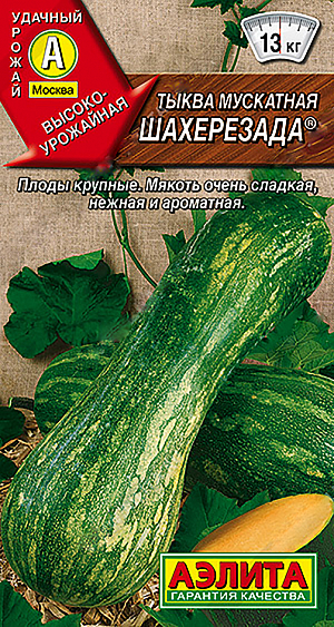 Семена Тыква мускатная Шахерезада