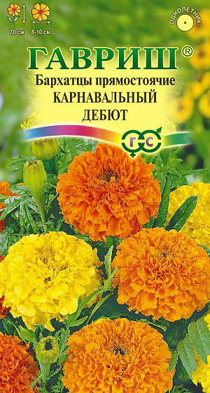 Семена Бархатцы Карнавальный дебют прямостоячие.
Одно из самых распространенных однолетних растений семейства Астровые. Образует куст высотой 70 см с ясно выраженным главным побегом.
Соцветия крупные (8-10 см в диаметре) густомахровые, шаровидные, абрикосовой, ярко-оранжевой, лимонно-желтой окраски.
Цветет с июня по сентябрь. Бархатцы светолюбивы и теплолюбивы, заморозков не переносят, к почвам нетребовательны, но предпочитают плодородные легкие почвы. Выращивают, как правило, рассадным способом. Посев проводят во второй половине марте-начале апреля. Всходы появляются через 4-8 дней после посева, сеянцы пикируют в фазе 2-го настоящего листа. 
Рассаду высаживают в начале июня, расстояние между растениями 30-35 см. Используют для посадки на клумбах, в группах, для получения срезки.