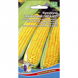 Семена Кукуруза Сахарный гигант