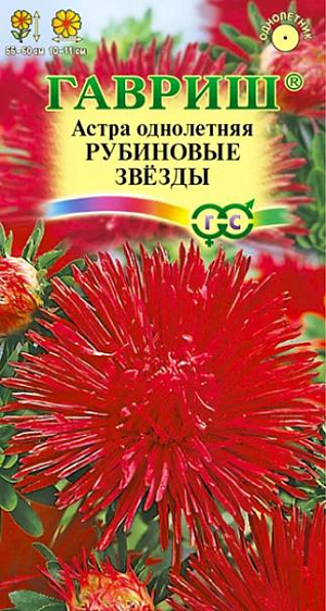 Семена Астра Рубиновые звезды<br>
 <br>
 Растение высотой 55-60 см. Куст компактный, узкообратнопирамидальный. Соцветия игольчатые, очень изящные, диаметром 10-11 см, рубиновой окраски. Для выращивания подходят хорошо освещенные участки с плодородной суглинистой или супесчаной почвой. Астры обладают высокой холодостойкостью – хорошо переносят заморозки до -3-4°C. Выращивают, чаще всего, рассадным способом. Используются для получения срезки и оформления участка.<br>