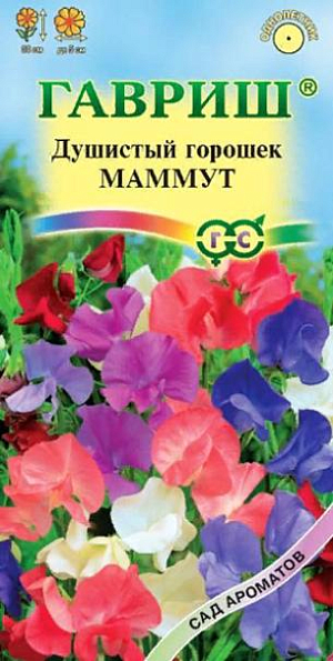 Семена Душистый горошек Маммут<br>
 <br>
 Крупноцветковая низкорослая смесь для ранней срезки. Растения однолетние, высотой 30 см. Прочные цветоносы позволяют выращивать растения без подвязки, «веселая» окраска цветков позволит «оживить» любой светлый уголок сада, балконы. Цветет с июня по сентябрь. Цветки душистые, крупные, до 5 см, самой разнообразной окраски – красной, лавандовой, синей, пурпурной, белой. Светолюбив, влаголюбив и холодостоек, предпочитает плодородные суглинистые и супесчаные почвы. Выращивают рассадным и безрассадным способом. Используется в озеленении, кроме того, срезанные цветки хорошо сохраняют свежесть в воде и используются в букетах.<br>