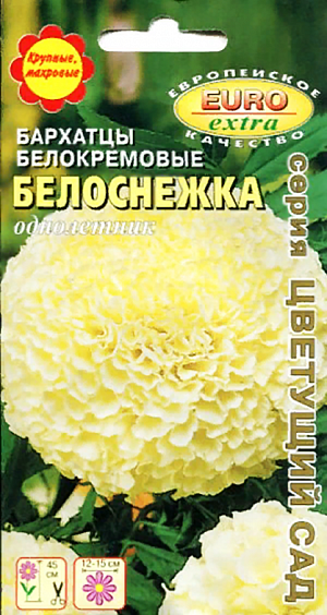 Семена Бархатцы Белоснежка прямостоячие (тагетес). Бархатцы, благодаря своей крайней неприхотливости и высокой декоративности, являются наиболее популярными растениями в озеленении. Мы представляем Вашему вниманию сорт белокремовых бархатцев - очень редкое пока явление в цветоводстве. Соцветия - одиночные густомахровые корзиночки, густого белого с примесью кремового и желтого  цветов. Применяется повсеместно в саду - для групп и рабаток, а также на срезку.<br>
 Агротехника. Бархатцы не требовательны к почве и влаге, предпочитают открытые солнечные места, но растут и в полутени. Семена высаживают в защищенный грунт. Температура прорастания - 18°С, время прорастания - 7-15 дней. Всходы появляются через 4-6 дней после посева. Затем сеянцы пикируют на расстоянии 5-6 см. Рассаду высаживают в открытый грунт на расстоянии 30-40 см. До начала цветения растения нуждаются в поливе и в подкормках. Рекомендуем комплексное минеральное удобрение «АЭЛИТА-ЦВЕТОЧНОЕ». Чтобы продлить цветение, необходимо удалять увядшие цветки.<br>