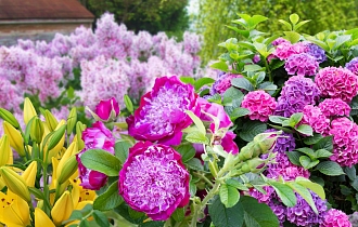 Эксклюзивные новинки 2026: будьте первыми.