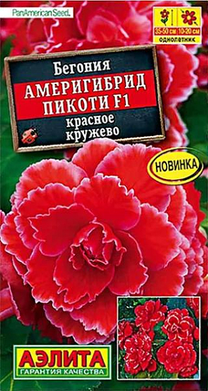 <div>
 Семена Бегония Америгибрид Пикоти F1 красное кружево.
</div>
 <br>
 Шедевр селекции. Выведена в американской семейной фирме PanAmerican Seed, которая уже в пятом поколении специализируется на клубневых бегониях. Цветок может достигнуть огромных размеров – 20 см. Таким потенциалом не может похвастаться ни одна из известных серий. Растение имеет кустовой габитус. Высота куста 35-50 см, ширина – 25-30 см. Роскошными густомахровыми цветками в открытом грунте можно любоваться все лето. При выращивании в горшках бегония цветет с апреля по ноябрь. К концу вегетации формируются клубни диаметром 4-6 см., которые можно сохранить зимой при температуре не выше +10°С и использовать для посадки в следующем сезоне.<br>
 <br>
 &nbsp;Семена в гранулах! Гранулы располагают на поверхности почвы, не заделывая их, хорошо увлажняют из распылителя. При попадании влаги на гранулу оболочка должна раствориться. Посевы накрывают стеклом для сохранения постоянной влажности до полных всходов. Всходам требуется подсветка, но не более 10 часов в сутки.<br>
 <br>
 <br>
 <br>
 <br>
 <br>