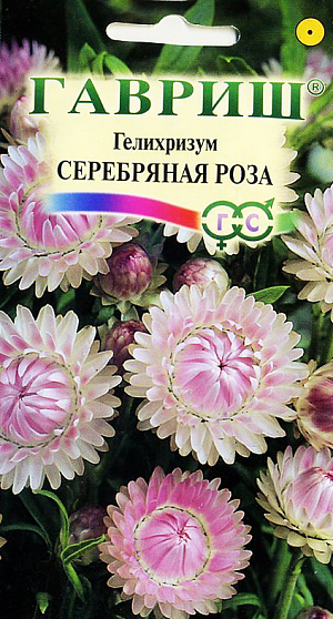 <div>
 Семена Гелихризум Серебряная Роза.
</div>
Для ярких зимних букетов и композиций. Травянистое однолетнее растение из семейства Астровые. кусты слегка раскидистые достигают 70 см высоты. Цветки собраны в соцветия-корзинки имеющие очень яркие и многочисленные листочки-обертки серебристо-розовой окраски. Цветет обильно с июля до заморозков. Предпочитает открытые, солнечные места. Размножают семенами, которые высевают в конце марта-начале апреля на рассаду. Всходы появляются через неделю после посева. На постоянное место рассаду высаживают после весенних заморозков, выдерживая расстояник между растениями 30 см. Используют в озеленении (клумбы, рабатки), а также на срезку в качестве лучшего сухоцвета.