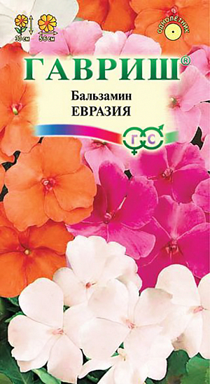 Семена Бальзамин Евразия.
Однолетнее растение. Куст шаровидной формы высотой 30 см и диаметром 10-15 см. Листья темно-зеленые. Растение усыпано крупными, диаметром 5-6 см, цветами красной, кремовой, нежно-розовой и карминной окраски. Цветет с июня до заморозков. Используют для украшения контейнеров, висячих корзин и клумб, можно выращивать, как комнатное растение. Растение неприхотливое. Хорошо растет в полутени. Предпочитает легкие плодородные почвы. Достаточно влаголюбиво, но не переносит избыточного переувлажнения. Размножают семенами, посев которых производят в марте-апреле в рассадные ящики. 