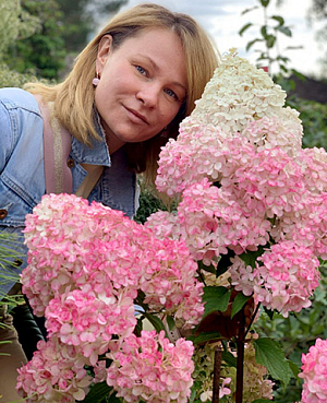 Гортензия метельчатая Фантом