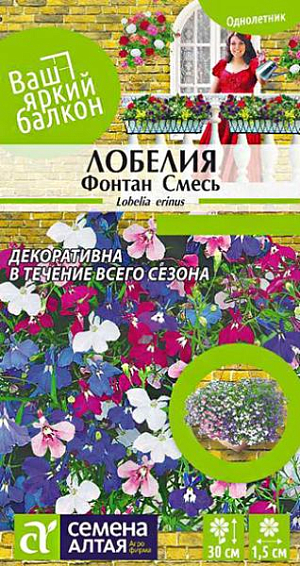 Семена Лобелия плетистая "Фонтан".<br>
Очаровательное миниатюрное растение, выращиваемое в однолетней культуре. Распростёртые или свисающие побеги, длинной до 30 см, обильно усыпаны мелкими (диаметром 1,5 см) цветками своеобразной формы, расположенными в пазухах листочков. Окраска венчика – белая, сиреневая, голубая. Чудесно смотрится в подвесных корзинах, балконных ящиках, вазонах. Светолюбивое, теневыносливое и влаголюбивое растение, достаточно холодостойкое. Наибольшей декоративности достигает на открытых солнечных участках с хорошо дренированными супесчаными и суглинистыми почвами средней влажности без избытка органики (иначе цветение будет слабым). Посевы на рассаду проводят в феврале. Семена прорастают только на свету, поэтому их не заделывают, а лишь слегка вдавливают в субстрат. Посевы увлажняют из пульверизатора, посадочную емкость накрывают стеклом и помещают в теплое светлое место. Стекло периодически убирают для проветривания посевов и удаления конденсата. При температуре почвы +18°C всходы появляются на 7-14 день, стекло убирают. Цветение начинается через 70-80 дней, с июня по сентябрь. Всходы нежные, их пикируют в легкую землю по несколько штук вместе. В открытый грунт рассаду высаживают после окончания весенних заморозков. Посадочный интервал – 15-20 см. Для лучшего кущения верхушки молодых растений прищипывают. В сухую и жаркую погоду цветение может прекратиться. Оптимальная температура для роста 20-25°С.