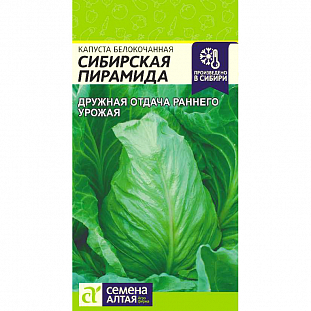 Семена Капуста белокочанная Сибирская Пирамида