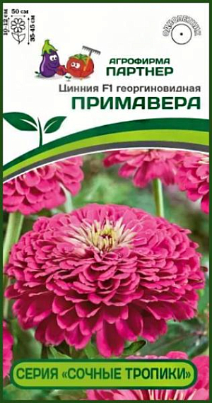 Имя этой мексиканской красотки созвучно с названием легендарного коктейля - «Примавера». Чудесная розовая окраска цветка выглядит «вкусно», «фруктово-сочно», но не ослепительно ярко, приобретая, по мере роспуска, более пастельный оттенок. Очень крупные, до 12 см в диаметре, цветки редко появляются по одному, чаще всего - это целый букет! Одновременно на растении может быть раскрыто более десятка цветков, которые долго держат форму и не выгорают на солнце. Генетически компактные кусты, до 50 см в диаметре, все как на подбор — выравненные, с хорошим ветвлением и устойчивыми цветоносами. <br>
 <br>
 Серия «Сочные тропики» отличается ранним, продолжительным цветением, неприхотливостью в уходе, а крепкое здоровье растений позволяет противостоять неблагоприятным погодным условиям и быть высокоустойчивыми к комплексу заболеваний. Это поистине удивительная серия для любого садового интерьера: ландшафтного, балконного или контейнерного декора в любимом патио-дворике. Чтобы цинния полностью раскрыла свой потенциал, рекомендуем объем кашпо 8-10 л на одно растение и схему посадки в грунте – 35х35 см.<br>
 <br>
 <iframe width="853" height="480" src="https://www.youtube.com/embed/htdTJSYH9Aw?feature=oembed" frameborder="0" allow="accelerometer; autoplay; clipboard-write; encrypted-media; gyroscope; picture-in-picture; web-share" allowfullscreen="" title="Циннии">
</iframe> <br>