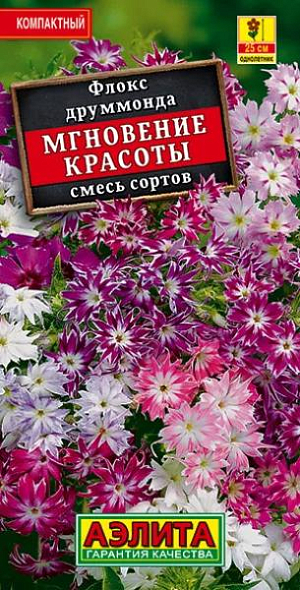 Семена Флокс Мгновение красоты смесь окрасок.
Эффектная смесь флоксов. Прелестные соцветия удивят двуцветными цветками-звездочками и приятным чарующим ароматом. Благодаря пышному и длительному цветению, широко испaльзуется для оформления каменистых садиков и оживления мини-клумб. Так же хороши компактные флоксы в горшках, вазонах, при украшении балконных ящиков, образующие настоящие цветущие ковры. Агротехника. Посев семян на рассаду в начале марта. С появлением первой пары настоящих листочков сеянцы пикируют. В открытый грунт закаленную рассаду высаживают с середины мая с шагом 20 см. Для продолжительного и обильного цветения растениям необходим своевременный полив, регулярная прополка, рыхление и подкормка минеральными удобрениями. 