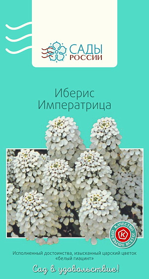 Иберис Императрица

Сверкающие белизной плотные и высокие, до 15 см, колонновидные соцветия из ароматных цветков 1,5–2 см в диаметре потрясающе эффектны как сами по себе в небольших группах, так и в любых композициях. Хорошо стоит в срезке, сохраняя свежесть и декоративность более недели. Холодостойкий.