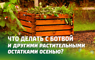 ЧТО ДЕЛАТЬ С БОТВОЙ И ДРУГИМИ РАСТИТЕЛЬНЫМИ ОСТАТКАМИ ОСЕНЬЮ. КАК ПРАВИЛЬНО ЗАЛОЖИТЬ ИХ В КОМПОСТНУЮ ЯМУ (КУЧУ)