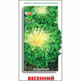 Эндивий Весенний 