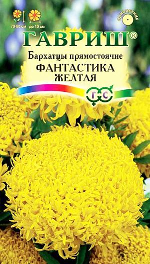Семена Бархатцы Фантастика желтая прямостоячие.
Уникальный сорт с исключительными по своей красоте и оригинальности соцветиями желтого оттенка. 
Прямостоячий куст высотой 70-80 см, устойчив к непогоде и не полегает. Первые соцветия появляются на растениях уже в июне и цветение продолжается до 
Смесь особенно рекомендуется для создания высоких рабаток, бордюров и срезки. 
Бархатцы светолюбивы и теплолюбивы, заморозков не переносят, к почвам нетребовательны, но предпочитают плодородные легкие почвы. 
Посев на рассаду проводят во второй половине марта-начале апреля. Всходы появляются через 4-8 дней после посева, сеянцы пикируют в фазе 2-го настоящего листа. 
Рассаду высаживают в начале июня с расстоянием между растениями 30-35 см. Посев в открытый грунт проводят в мае на глубину 1,5-2 см.