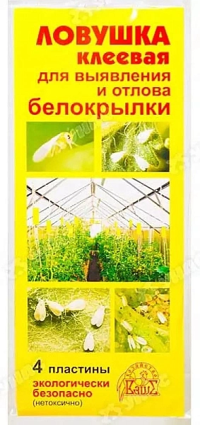 Ловушка клеевая для выявления и отлова белокрылки