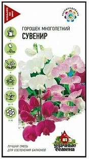 Семена Горошек многолетний Сувенир
