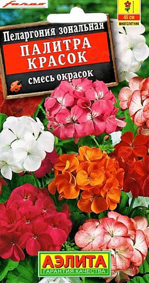 Семена Пеларгония Палитра Красок смесь окрасок. Пеларгония (в просторечии “герань”)- известное и любимое комнатное растение. Смесь ”Палитра красок” подходит не только для выращивания дома, но и для украшения сада. Кусты крепкие, прямостоячие, высотой 35-45 см, обильно украшены крупными ароматными соцветиями ø 12-15 см с весны до осени. Пеларгонии неприхотливые, светолюбивые (но мирятся с небольшим затенением), достаточно засухоустойчивые. Растут быстро. Широко используются для выращивания в горшках и балконных ящиках, прекрасно смотрятся на клумбах, в рабатках и бордюрах. <br>
Агротехника. Выращивают через рассаду. Сеянцы пикируют в фазе одного-двух настоящих листьев. При достижении рассадой 8-10 см верхушки побегов прищипывают, чтобы стимулировать ветвление. Высаживают рассаду в открытый грунт, когда минует угроза заморозков.