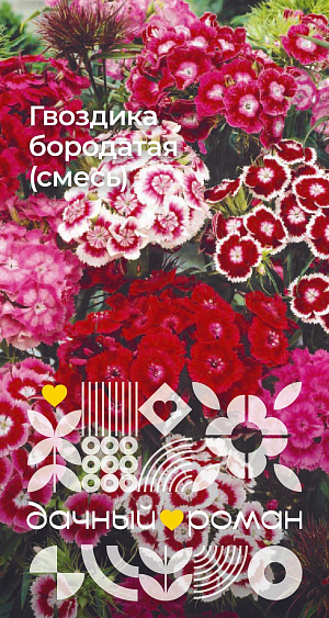 Гвоздика бородатая (смесь) 

Традиционное садовое растение, любимое еще нашими бабушками, и сегодня придает уголкам сада особое очарование. Растение с прямыми прочными стеблями и ланцетовидными листьями. Пышные, ароматные соцветия - щитки, размером 8–12 см, удивляют самыми разнообразными окрасками. Неприхотлива, с обильным самосевом. Используется в цветниках и на срезку. Зацветает на второй год.