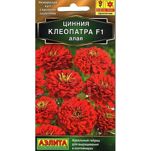 Семена Цинния Клеопатра Алая F1