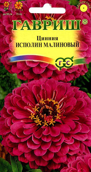 Семена Цинния Исполин Малиновый.
Серия высокорослых крупноцветковых цинний для элитного оформления сада. 
Отличается чрезвычайно обильным и продолжительным цветением, прочными ветвящимися цветоносами, чистыми и стойкими к выгоранию тонами соцветий.
Формирует приподнятые, разветвленные кусты высотой до 90 см. Соцветия георгиновидные, крупные, малиновые, 15 см в диаметре, с высокой устойчивостью к неблагоприятным погодным условиям. Цветет с июня до заморозков. Циннии светолюбивы, засухоустойчивы и теплолюбивы; отзывчивы на полив, без длительного полива снижается интенсивность цветения и уменьшается размер соцветий. Выращивают рассадным способом. 
Семена высевают в апреле. Всходы появляются через 4-6 дней. В начале июня растения высаживают на расстоянии 20 см.