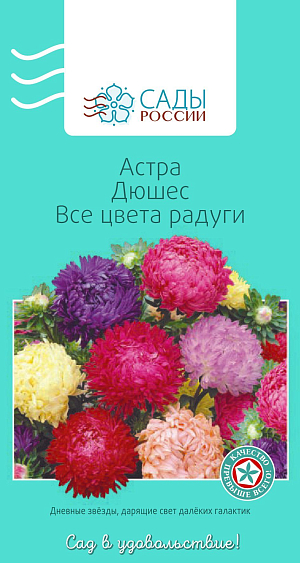 Астра Дюшес Все цвета радуги

Всем знакомая и всеми любимая классическая садовая астра. Куст колонновидный, с крепкими густооблиственными цветоносами и махровыми шаровидными соцветиями до 10-12 см в диаметре.